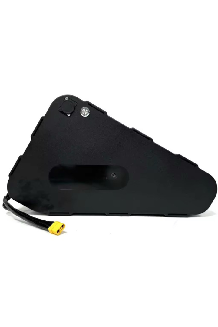 52V Battery (2000W) Static Ebikes