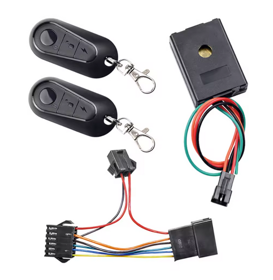 Key and alarm system for ebike